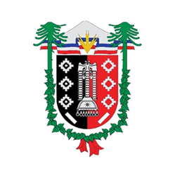 Imagen del Escudo de La Araucanía