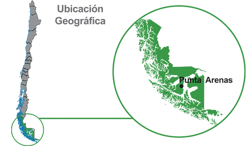 Img Ubicacion Geografica de Magallanes